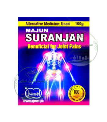 Majun Falasfa